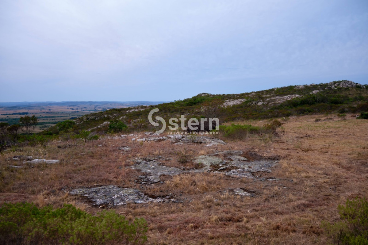Zona Rural - GoPunta - Portal Inmobiliario de Punta del Este - Maldonado