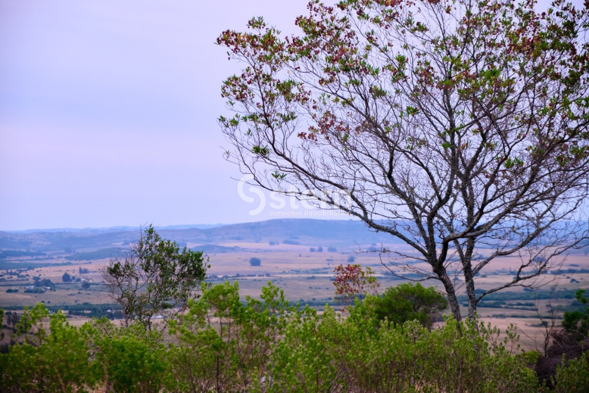 Zona Rural - GoPunta - Portal Inmobiliario de Punta del Este - Maldonado