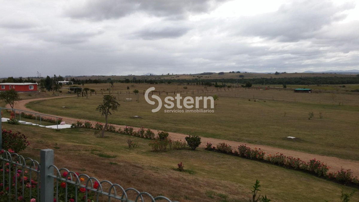 Zona Rural - GoPunta - Portal Inmobiliario de Punta del Este - Maldonado