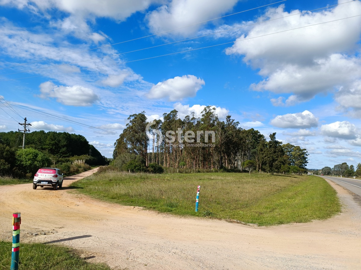 Zona Rural - GoPunta - Portal Inmobiliario de Punta del Este - Maldonado