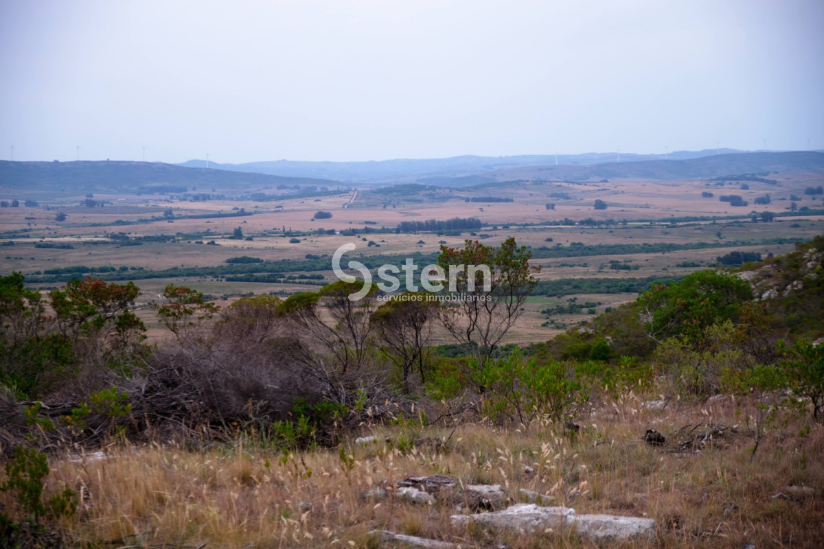 Zona Rural - GoPunta - Portal Inmobiliario de Punta del Este - Maldonado