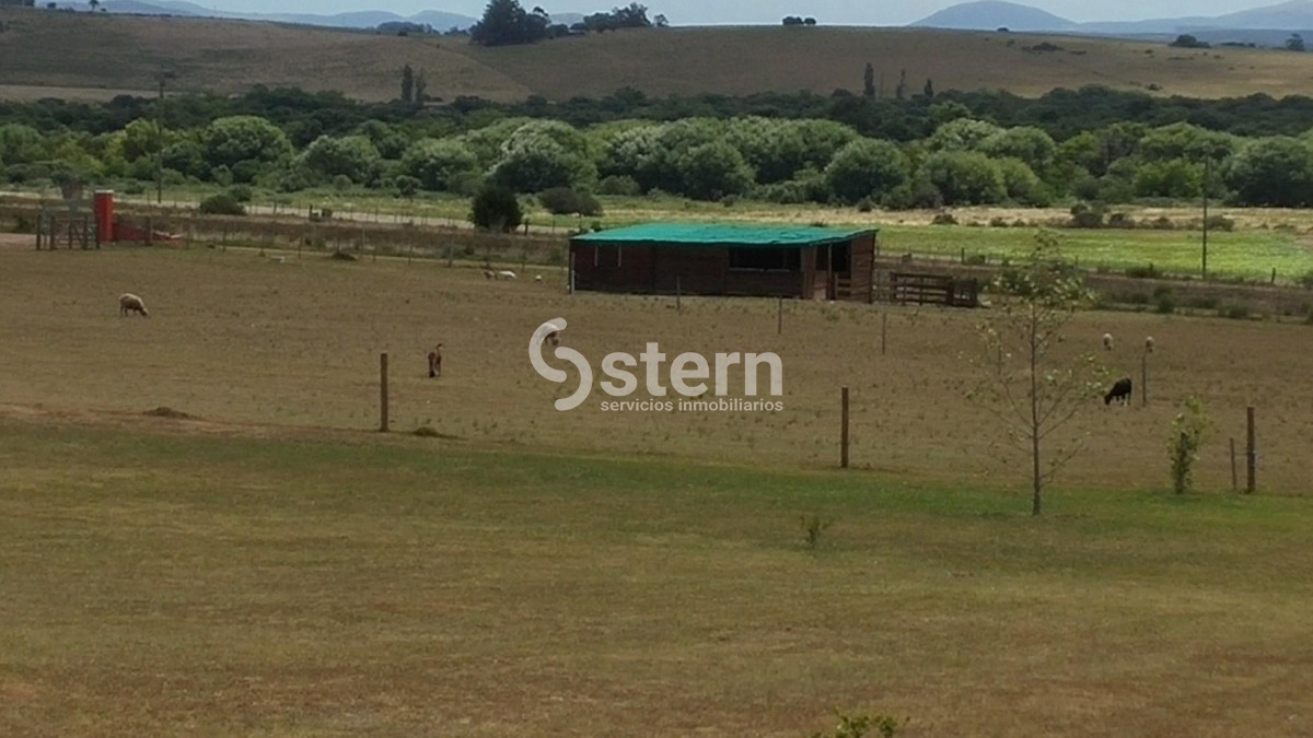 Zona Rural - GoPunta - Portal Inmobiliario de Punta del Este - Maldonado