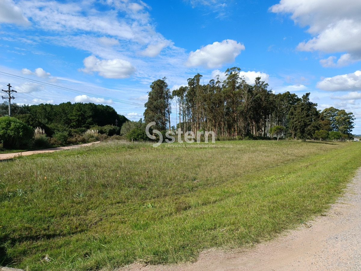 Zona Rural - GoPunta - Portal Inmobiliario de Punta del Este - Maldonado