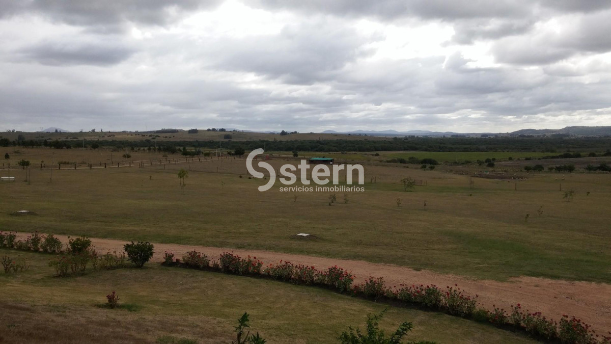 Zona Rural - GoPunta - Portal Inmobiliario de Punta del Este - Maldonado