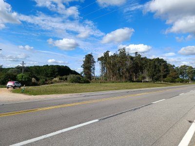 Chacra de 8 hectáreas con 147 mts sobre la Ruta 9! 