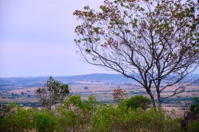 Venta Chacra, Paso Dutra, Maldonado. Vista a las Sierras!