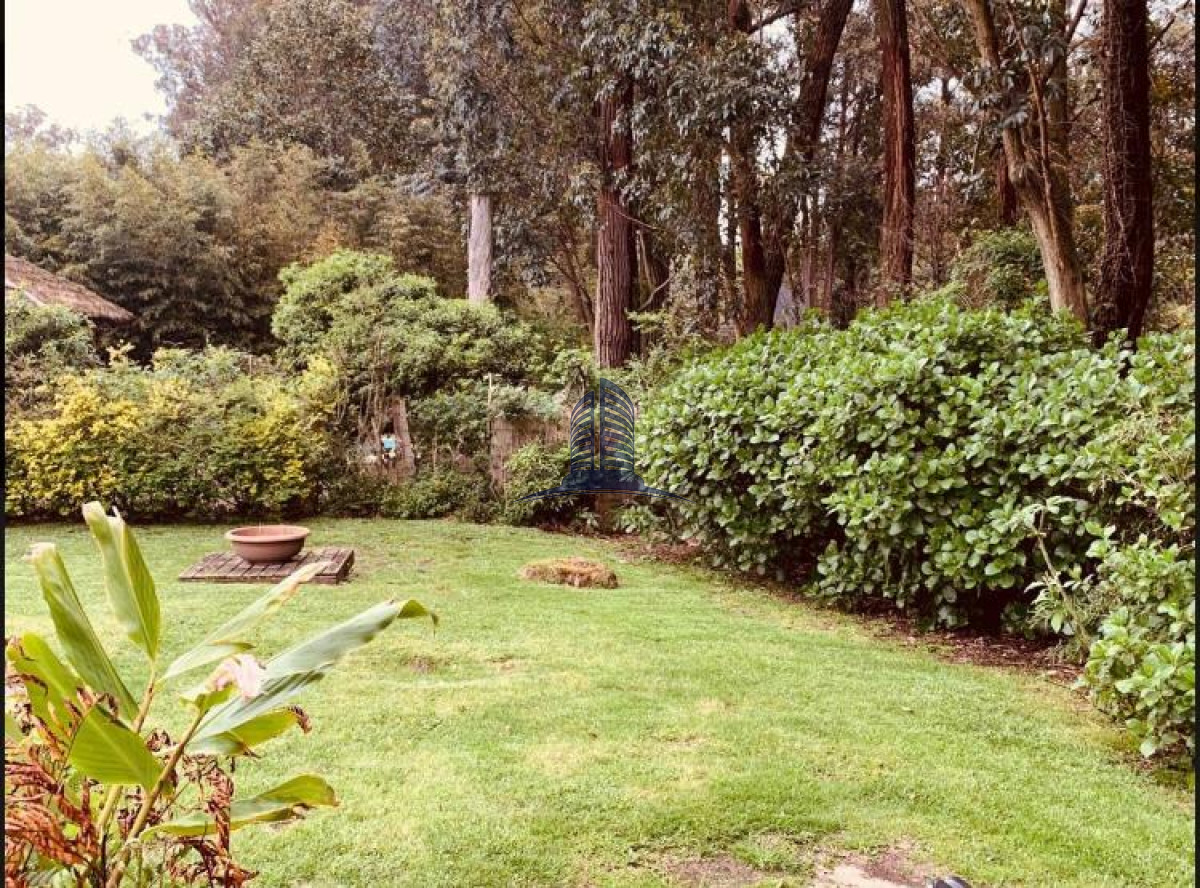 Pinares - GoPunta - Portal Inmobiliario de Punta del Este - Maldonado
