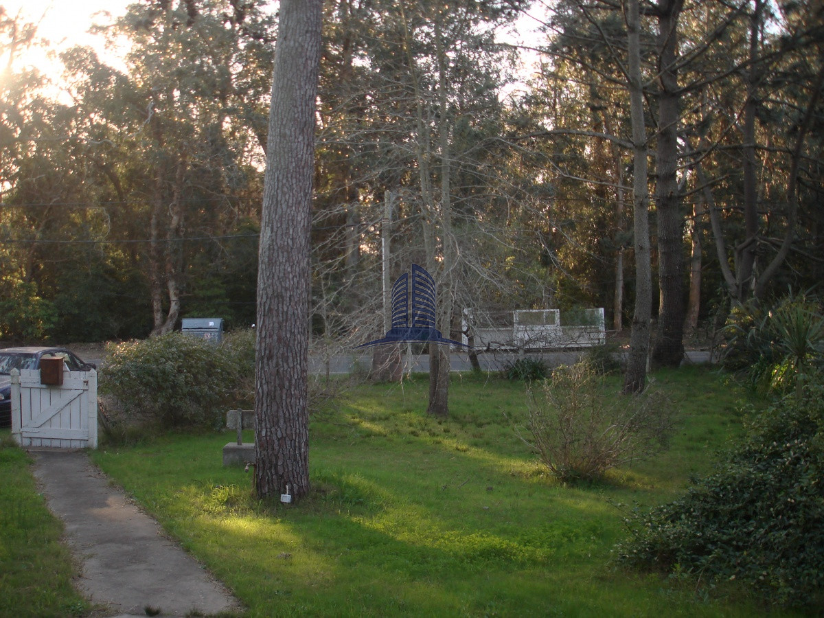 Pinares - GoPunta - Portal Inmobiliario de Punta del Este - Maldonado