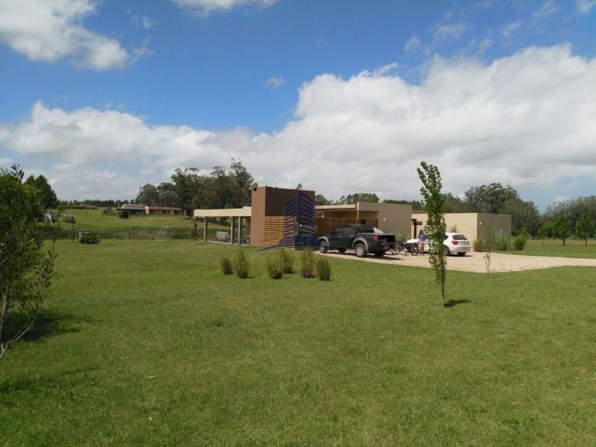 El Quijote - GoPunta - Portal Inmobiliario de Punta del Este - Maldonado