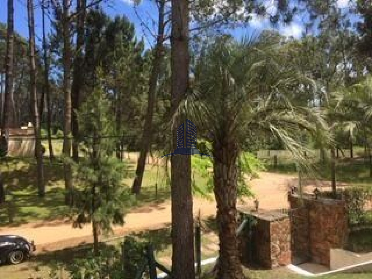 Sin Clasificar - GoPunta - Portal Inmobiliario de Punta del Este - Maldonado