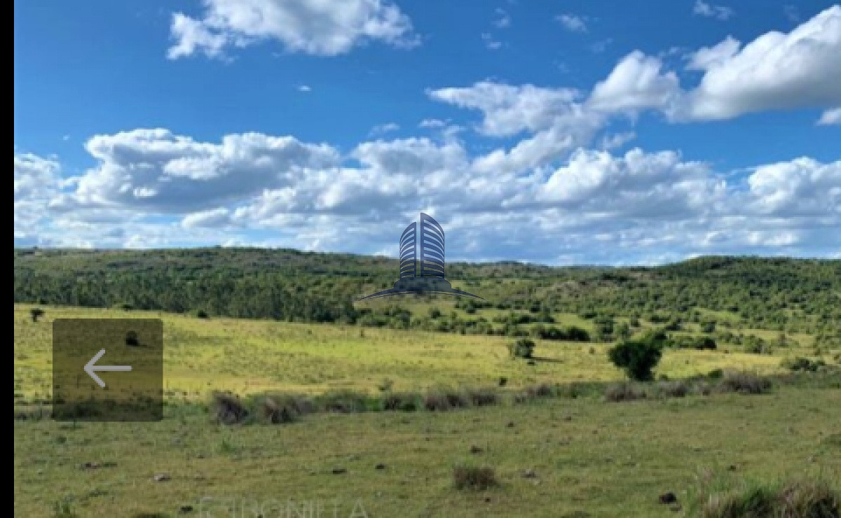 Campo de 39 h. a la VENTA  construccion a reciclar. ruta 13. - GoPunta - Portal Inmobiliario de Punta del Este - Maldonado