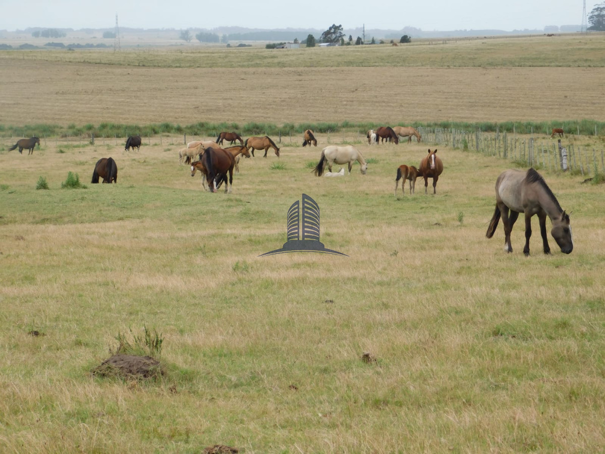 Campo a la venta - GoPunta - Portal Inmobiliario de Punta del Este - Maldonado