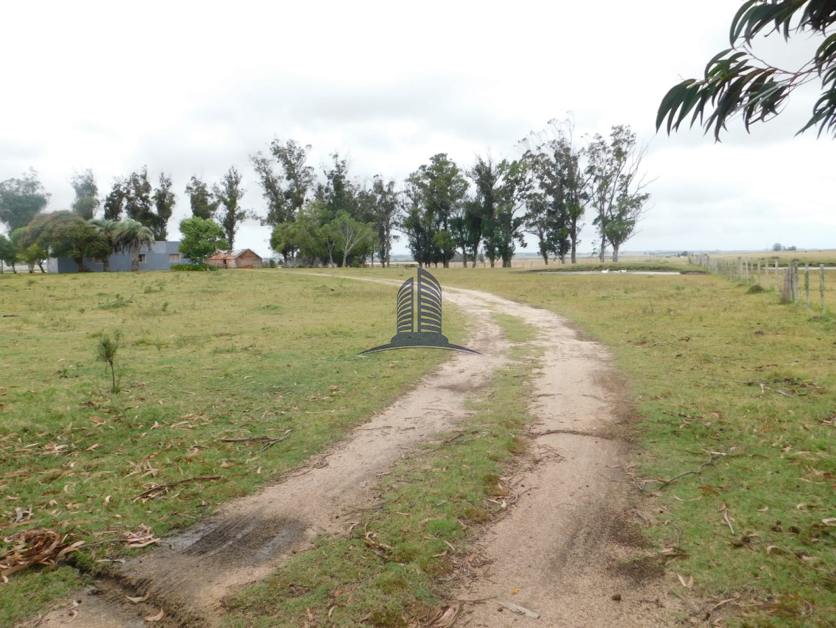 Campo a la venta - GoPunta - Portal Inmobiliario de Punta del Este - Maldonado