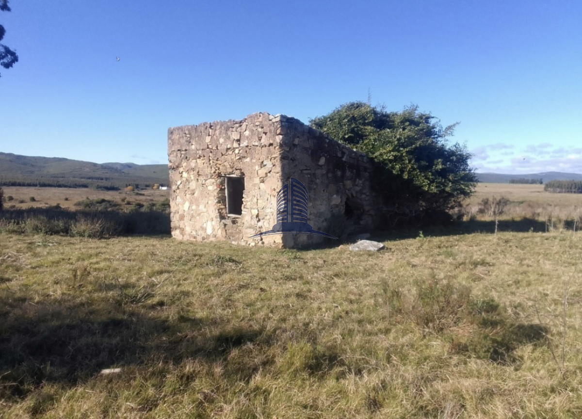 Campo a la VENTA, lavalleja - GoPunta - Portal Inmobiliario de Punta del Este - Maldonado