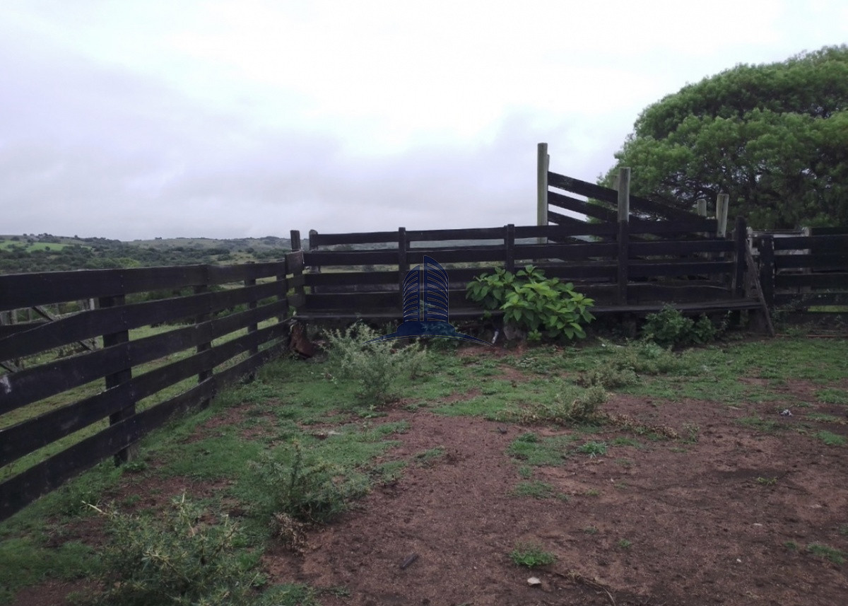 Campo a la venta de 153hectareas en Maldonado - GoPunta - Portal Inmobiliario de Punta del Este - Maldonado