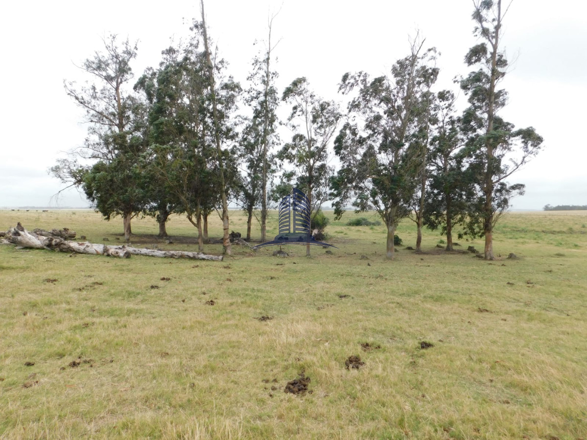 Campo a la venta - GoPunta - Portal Inmobiliario de Punta del Este - Maldonado