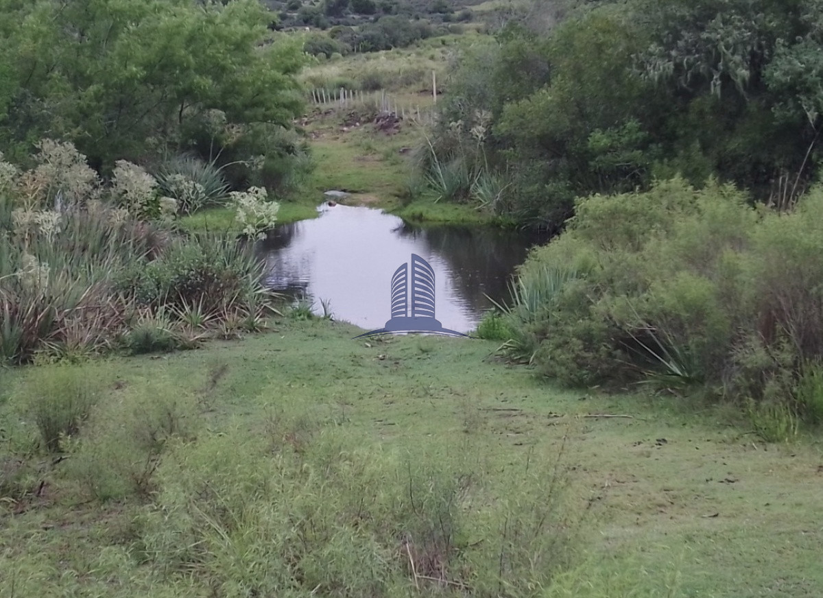 Campo a la venta de 153hectareas en Maldonado - GoPunta - Portal Inmobiliario de Punta del Este - Maldonado