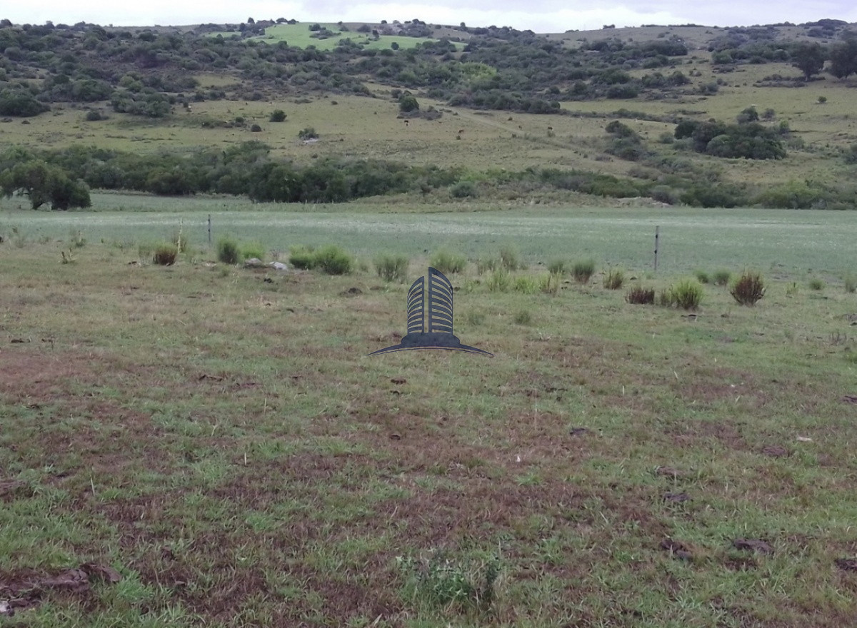 Campo a la venta de 153hectareas en Maldonado - GoPunta - Portal Inmobiliario de Punta del Este - Maldonado