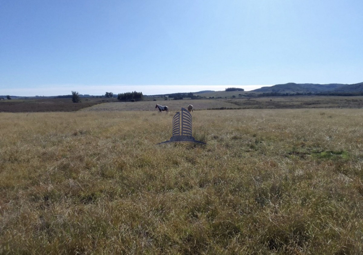 Campo a la VENTA, lavalleja - GoPunta - Portal Inmobiliario de Punta del Este - Maldonado