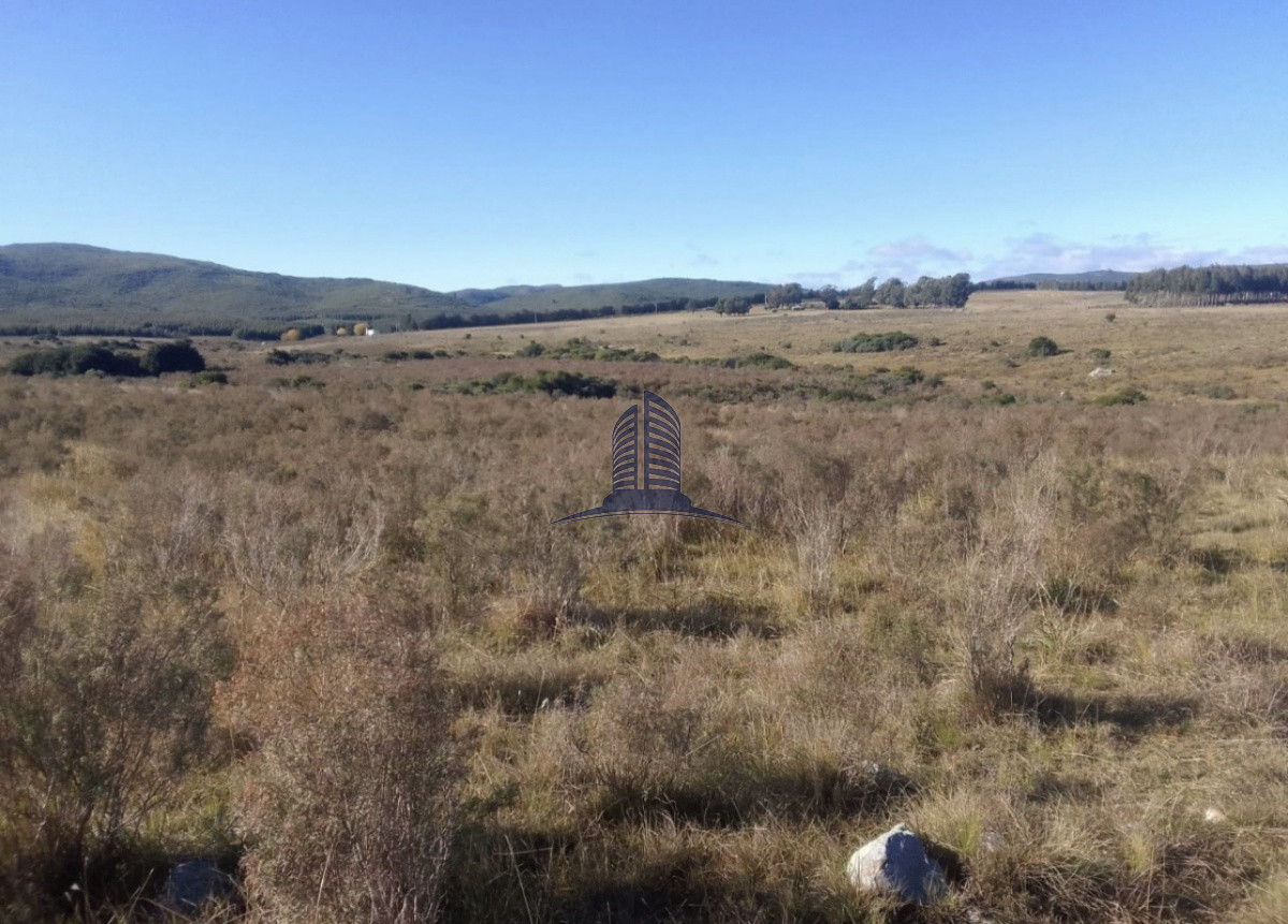 Campo a la VENTA, lavalleja - GoPunta - Portal Inmobiliario de Punta del Este - Maldonado