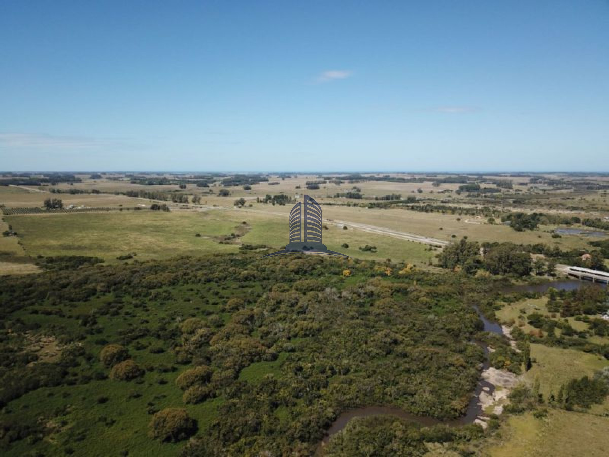 Campo en venta - GoPunta - Portal Inmobiliario de Punta del Este - Maldonado