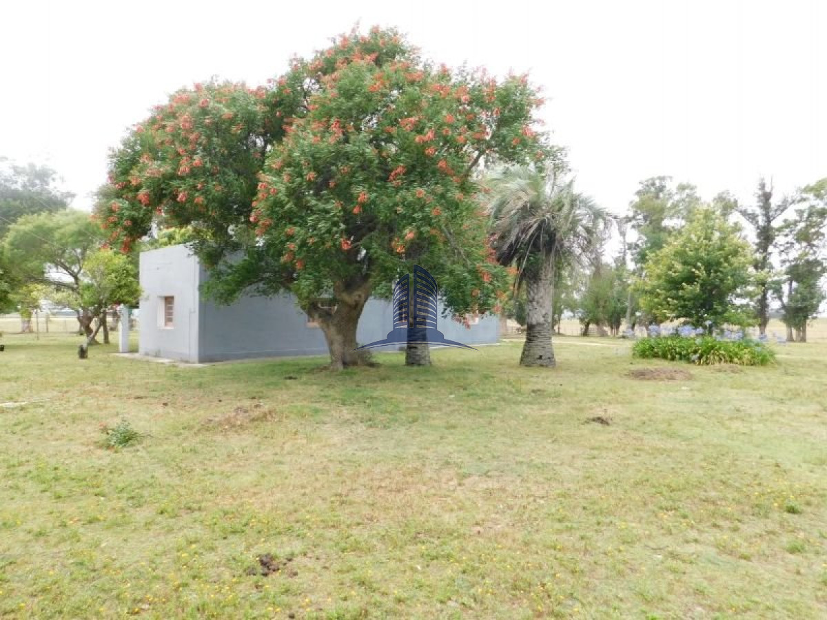Campo en venta  ROCHA