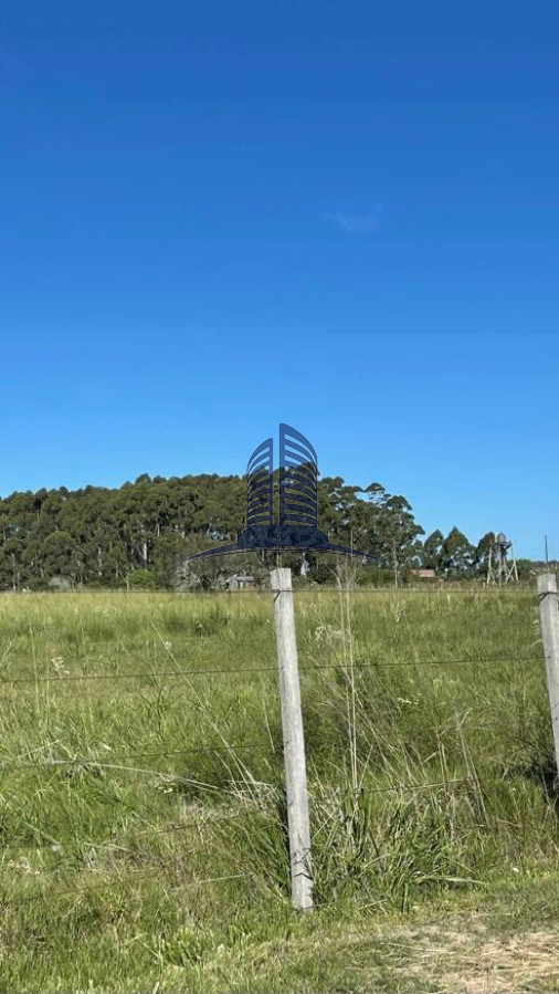 CAMPO EN VENTA - GoPunta - Portal Inmobiliario de Punta del Este - Maldonado
