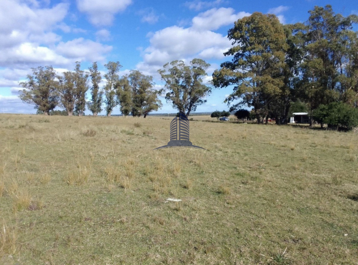Campo a la VENTA, lavalleja - GoPunta - Portal Inmobiliario de Punta del Este - Maldonado