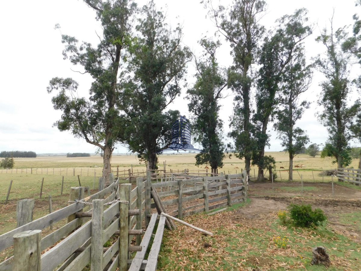 Campo a la venta - GoPunta - Portal Inmobiliario de Punta del Este - Maldonado