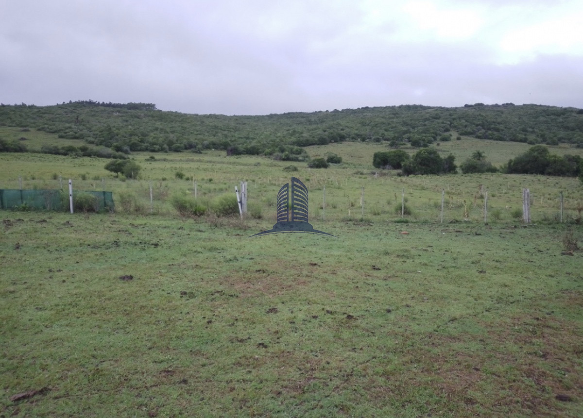 Campo a la venta de 153hectareas en Maldonado - GoPunta - Portal Inmobiliario de Punta del Este - Maldonado