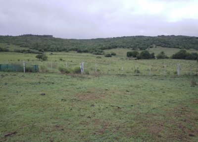 Campo a la venta de 153hectareas en Maldonado