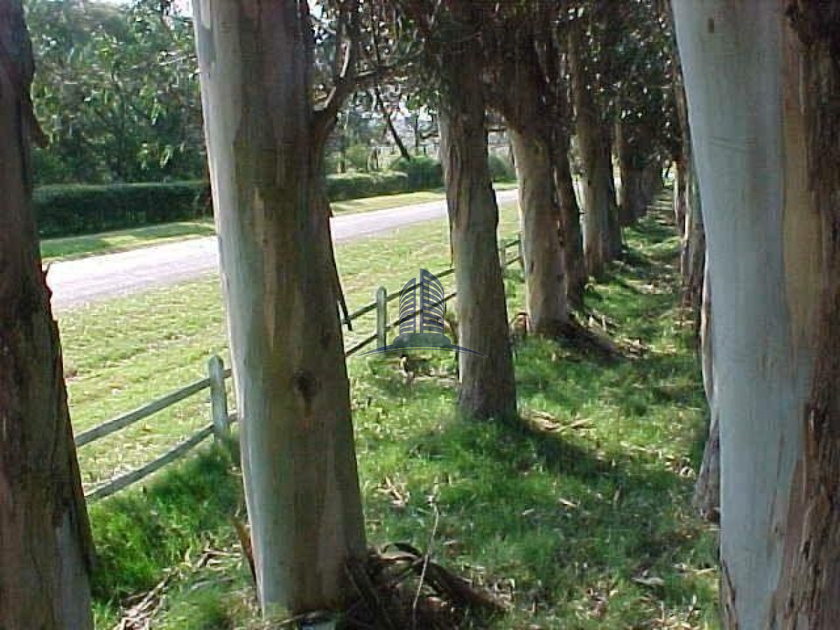 Miramar Acres - GoPunta - Portal Inmobiliario de Punta del Este - Maldonado