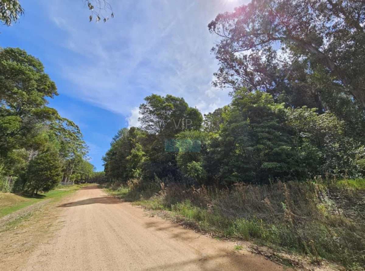 Propiedad - GoPunta - Portal Inmobiliario de Punta del Este - Maldonado