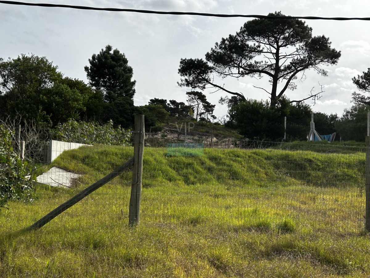 Propiedad - GoPunta - Portal Inmobiliario de Punta del Este - Maldonado