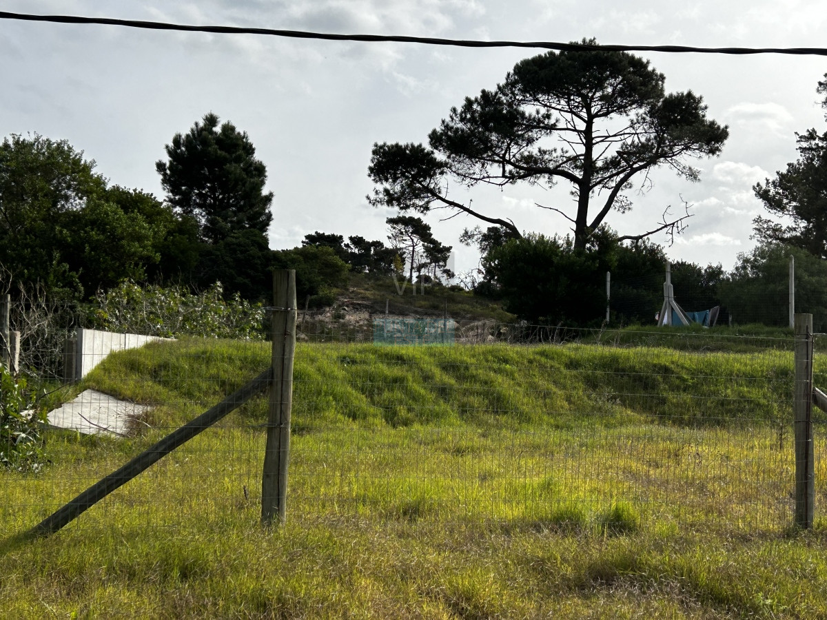 Propiedad - GoPunta - Portal Inmobiliario de Punta del Este - Maldonado