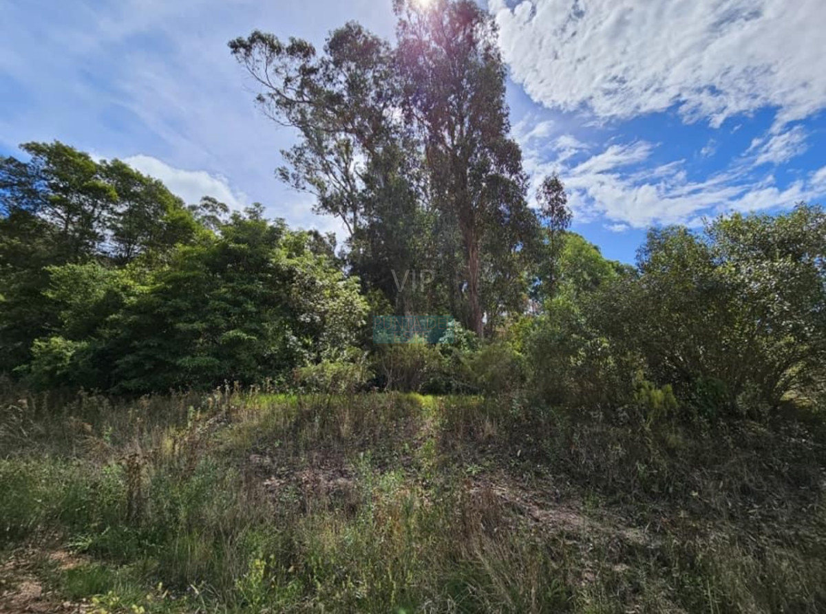 Propiedad - GoPunta - Portal Inmobiliario de Punta del Este - Maldonado