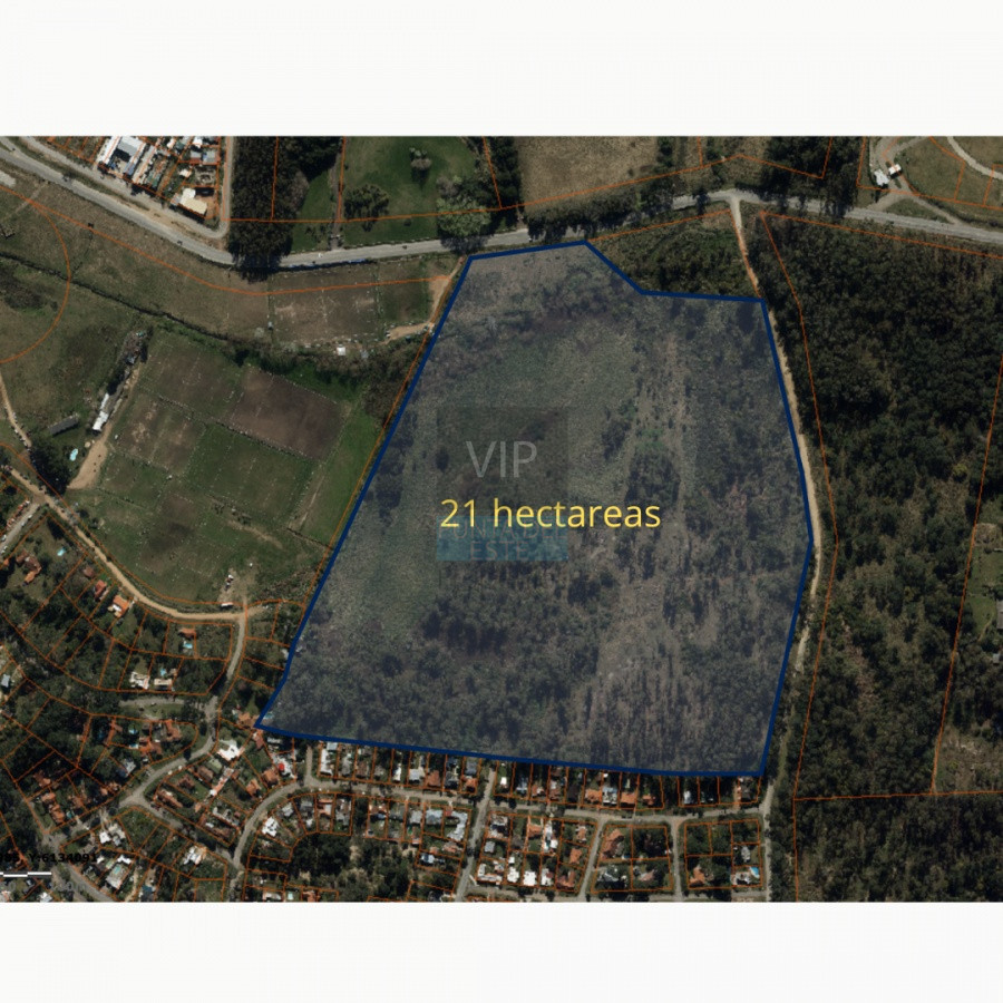 Maldonado - GoPunta - Portal Inmobiliario de Punta del Este - Maldonado
