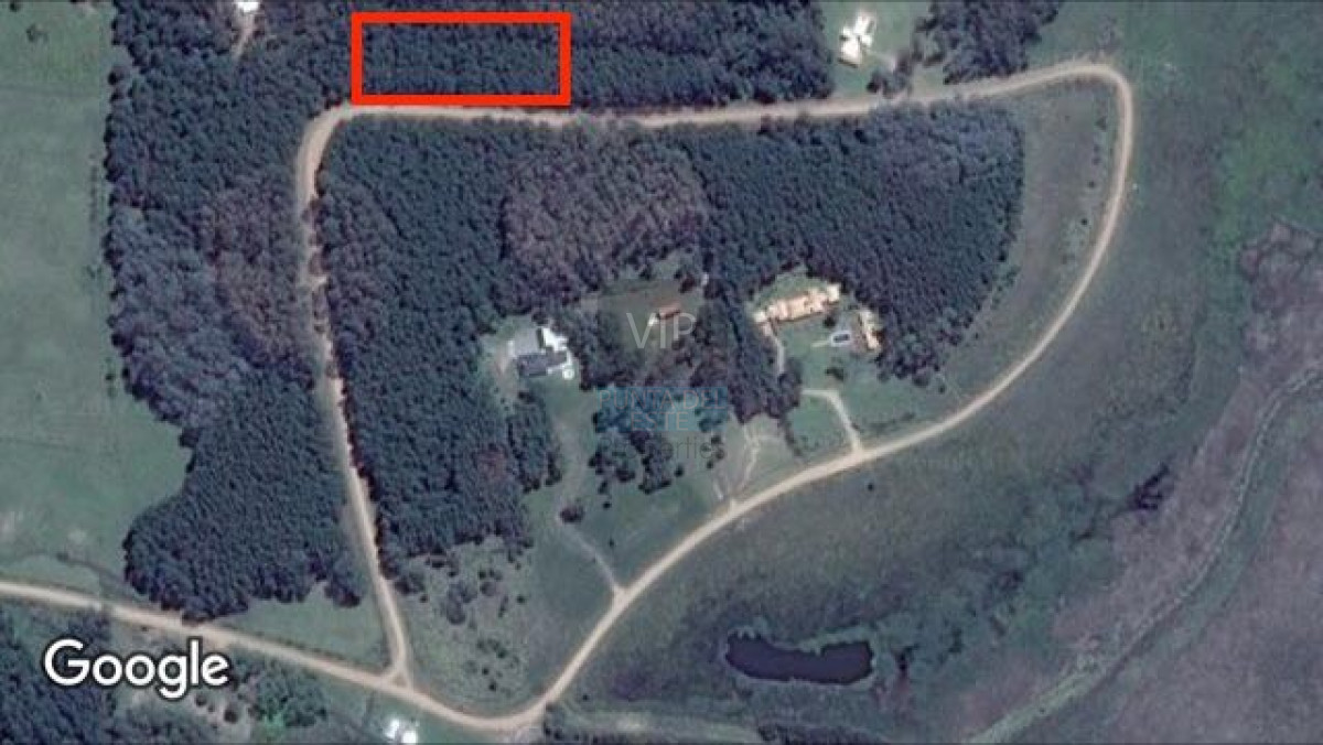Propiedad - GoPunta - Portal Inmobiliario de Punta del Este - Maldonado