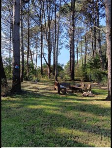 Muy lnda casa de 2 dormitorios en alquiler en Laguna del Sauce