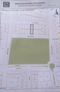 Oportunidad casa, apartamento y local en venta en Maldonado 