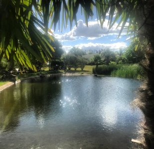 Espectacular chacra en venta en MARISCALA- Abra del Perdomo