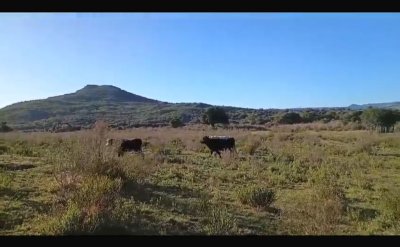 chacra en zona de Pueblo Eden en venta