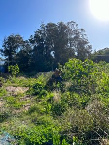 Espectacular terreno en Las Grutas