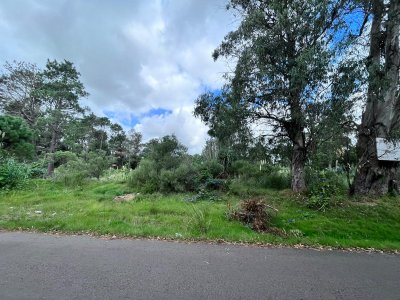 Terreno en Punta Del Este, Playa Brava