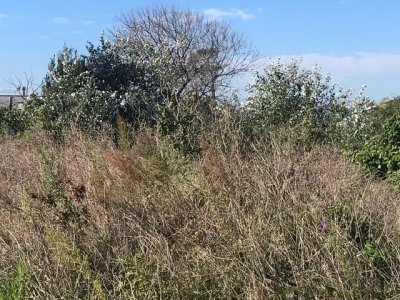 Terreno en El Chorro con vista parcial al Mar