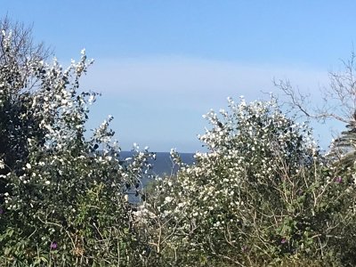 Muy lindo terreno, pronto para construir