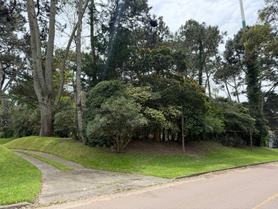 Terreno en venta en San Rafael 