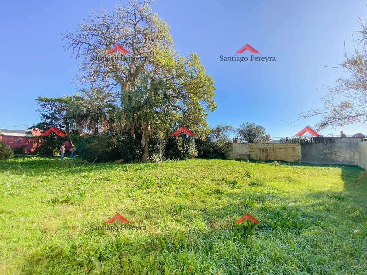 Lavalleja - GoPunta - Portal Inmobiliario de Punta del Este - Maldonado