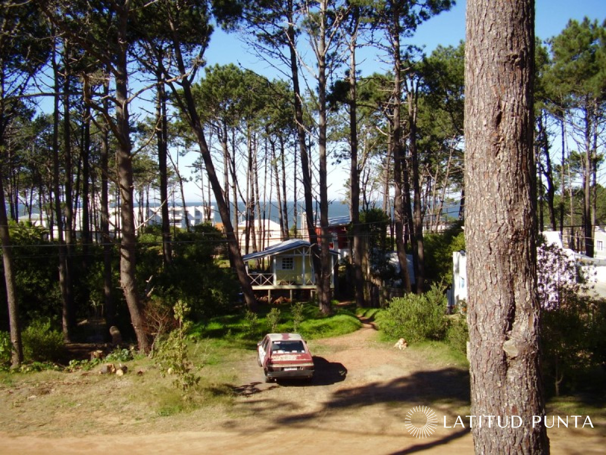 Montoya - GoPunta - Portal Inmobiliario de Punta del Este - Maldonado