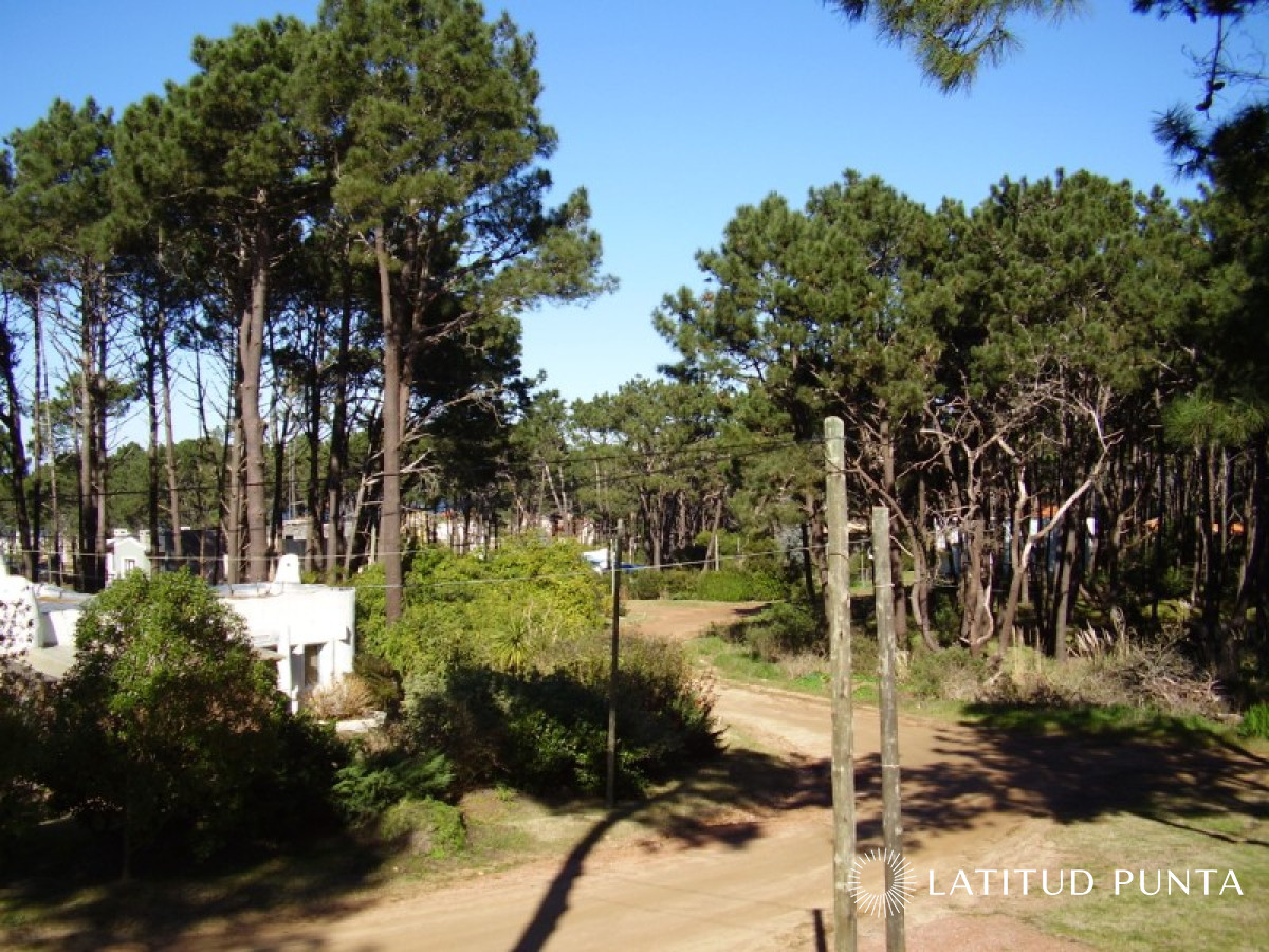 Montoya - GoPunta - Portal Inmobiliario de Punta del Este - Maldonado